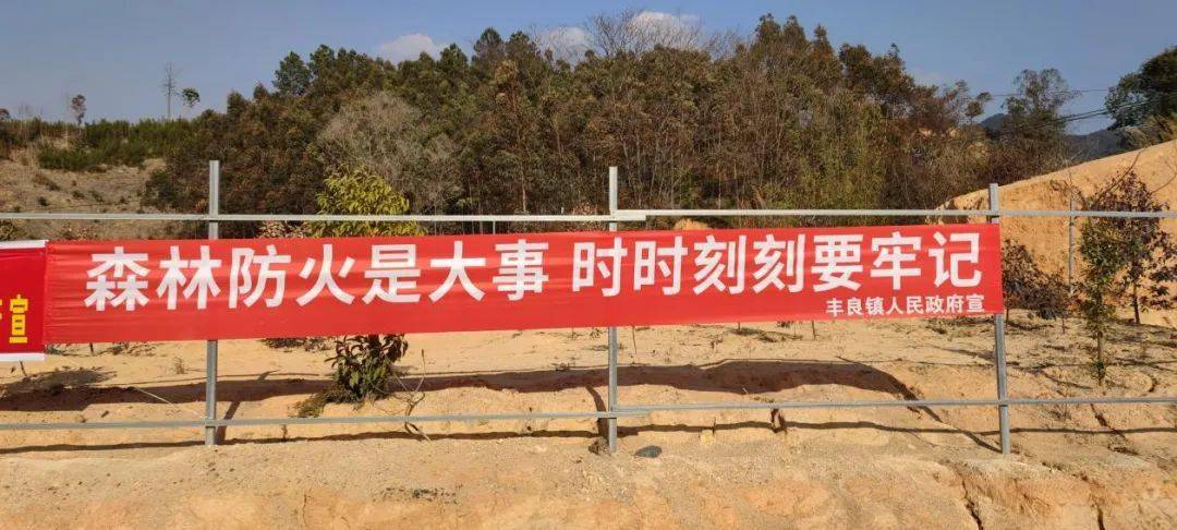 森林装备科技